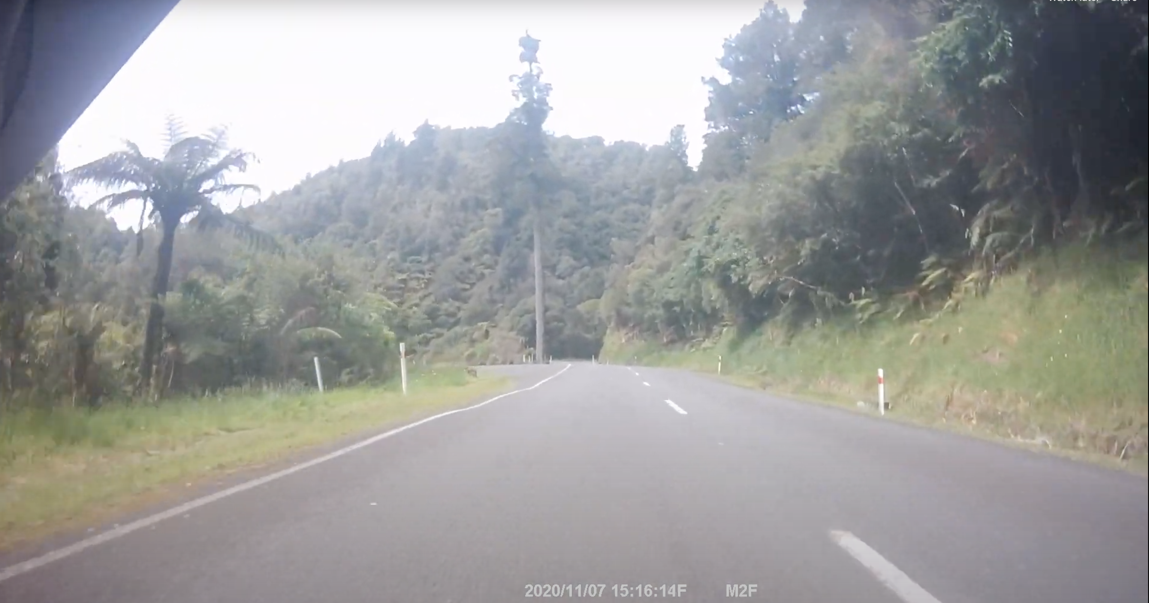 NZDR 1KC – 2020 – Forgotten Highway section.